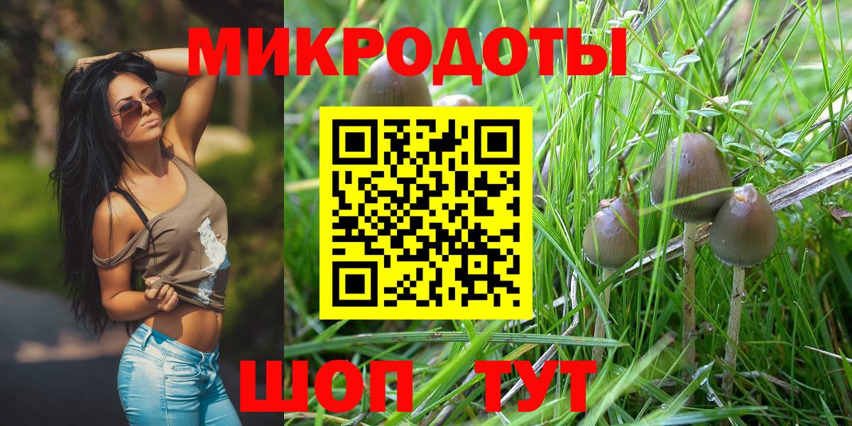 Псилоцибиновые грибы GOLDEN TEACHER  Вход с VPN  Выкса  Галлюциногенные грибы GOLDEN TEACHER 
