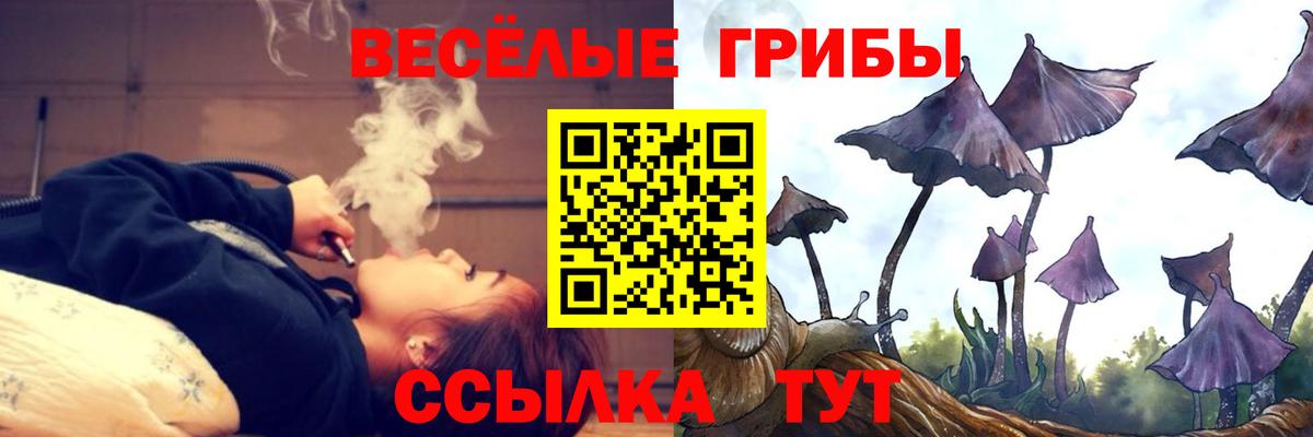 Псилоцибиновые грибы Magic Shrooms Выкса